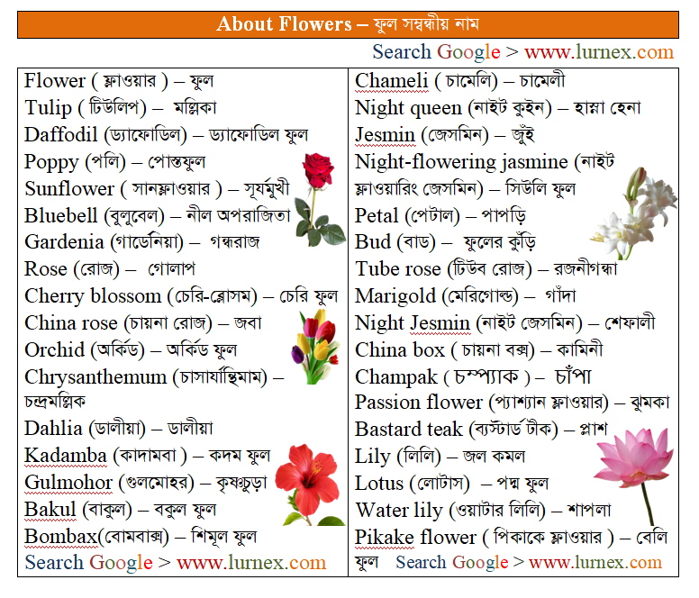 Topic Based Vocabulary About Flowers
